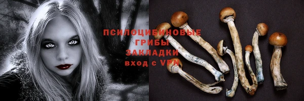 мдпв Нефтекумск