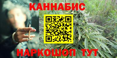 прущие грибы Пенза
