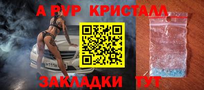 прущие грибы Пенза